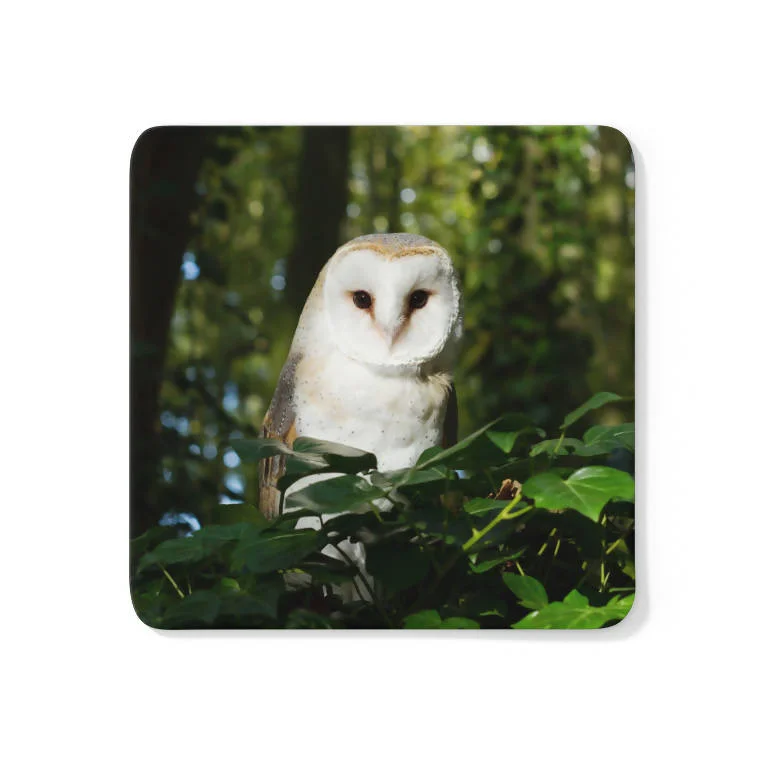 Barn Owl Coaster