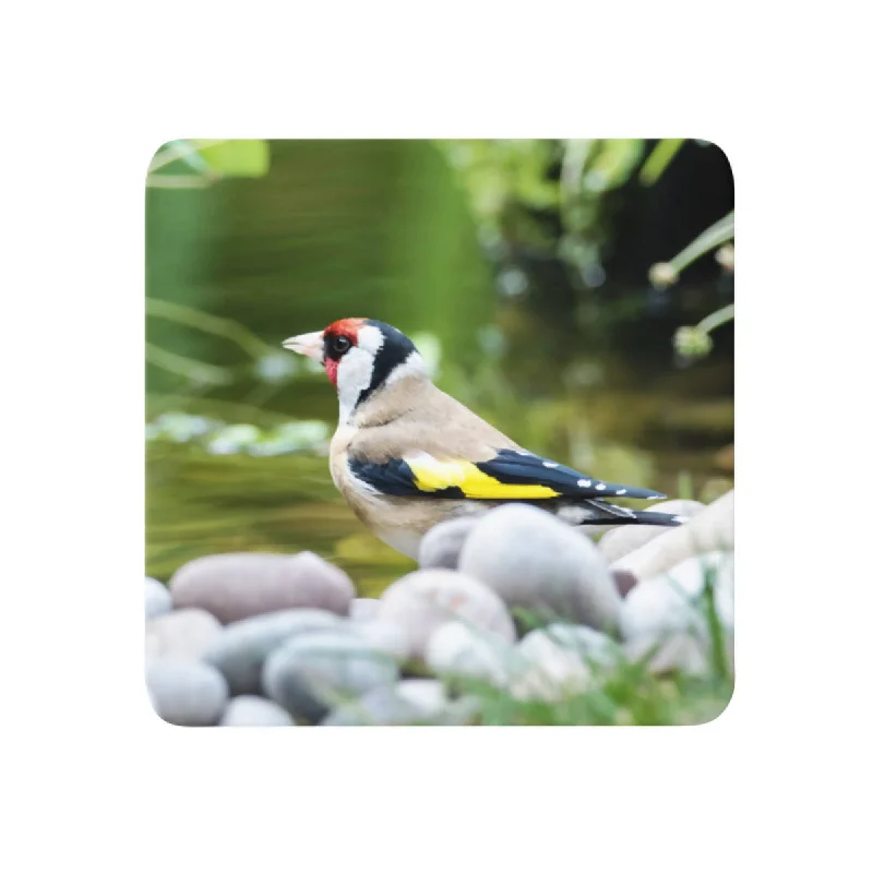 Goldfinch Coaster