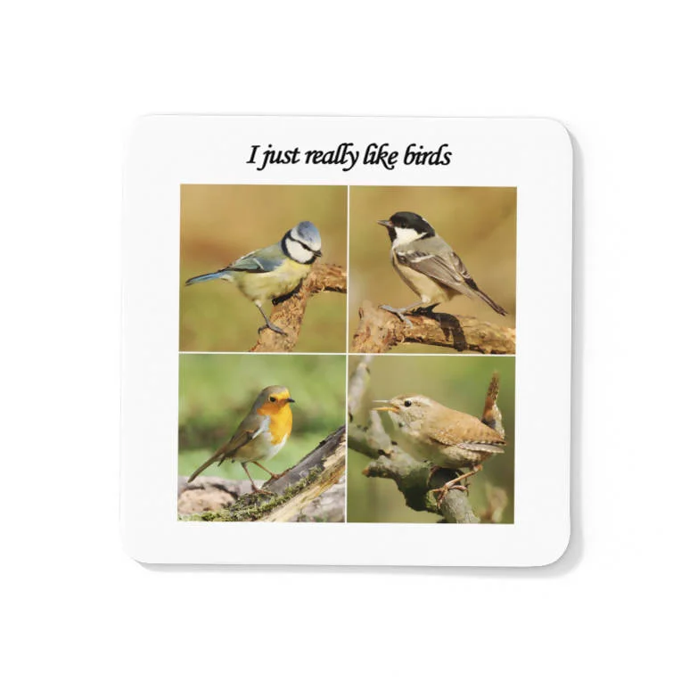 I Really Like Birds Coaster