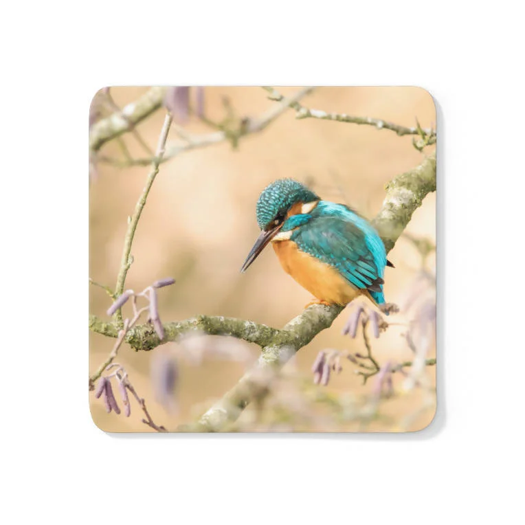 Kingfisher and Catkins Coaster