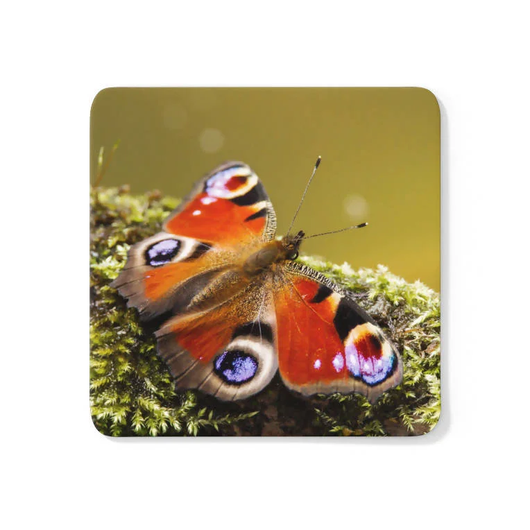 Peacock Butterfly Coaster