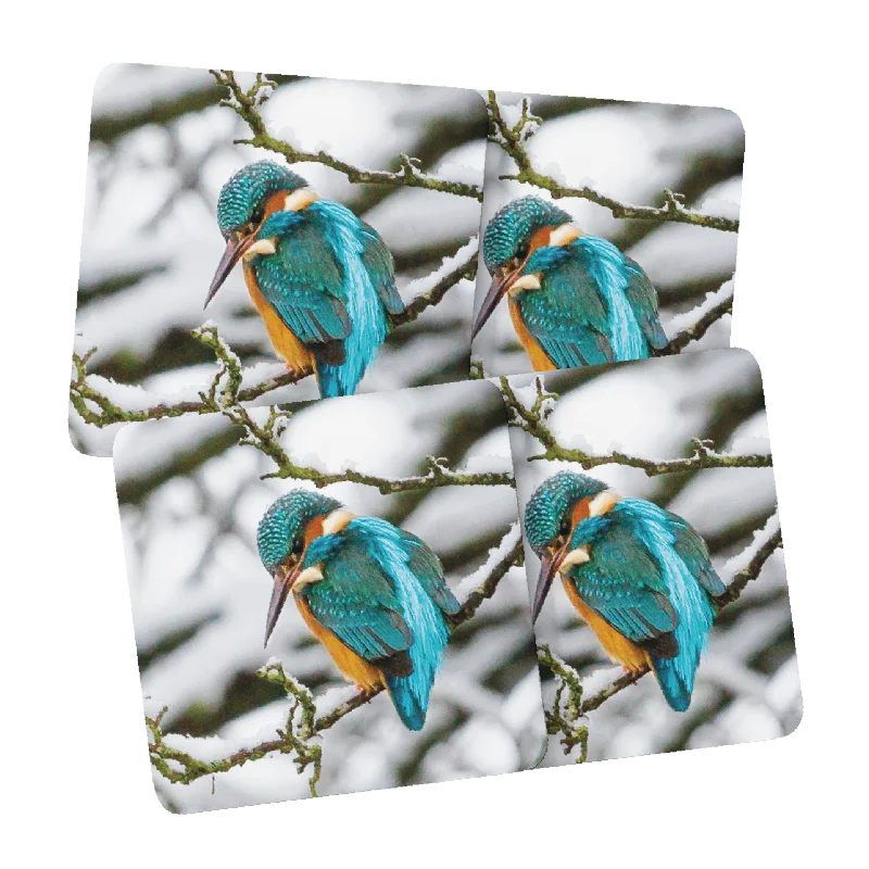 Winter Kingfisher Coasters