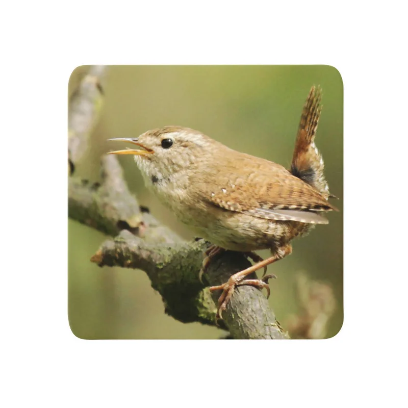 Wren Coaster