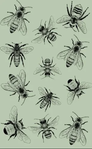 Allgifts Australia Tea Towel - Sketch Bee